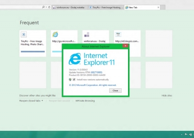 Internet Explorer - El tan conocido explorador de Windows