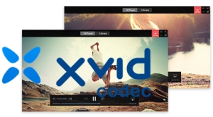 Xvid &ndash; el mas usado codec de video